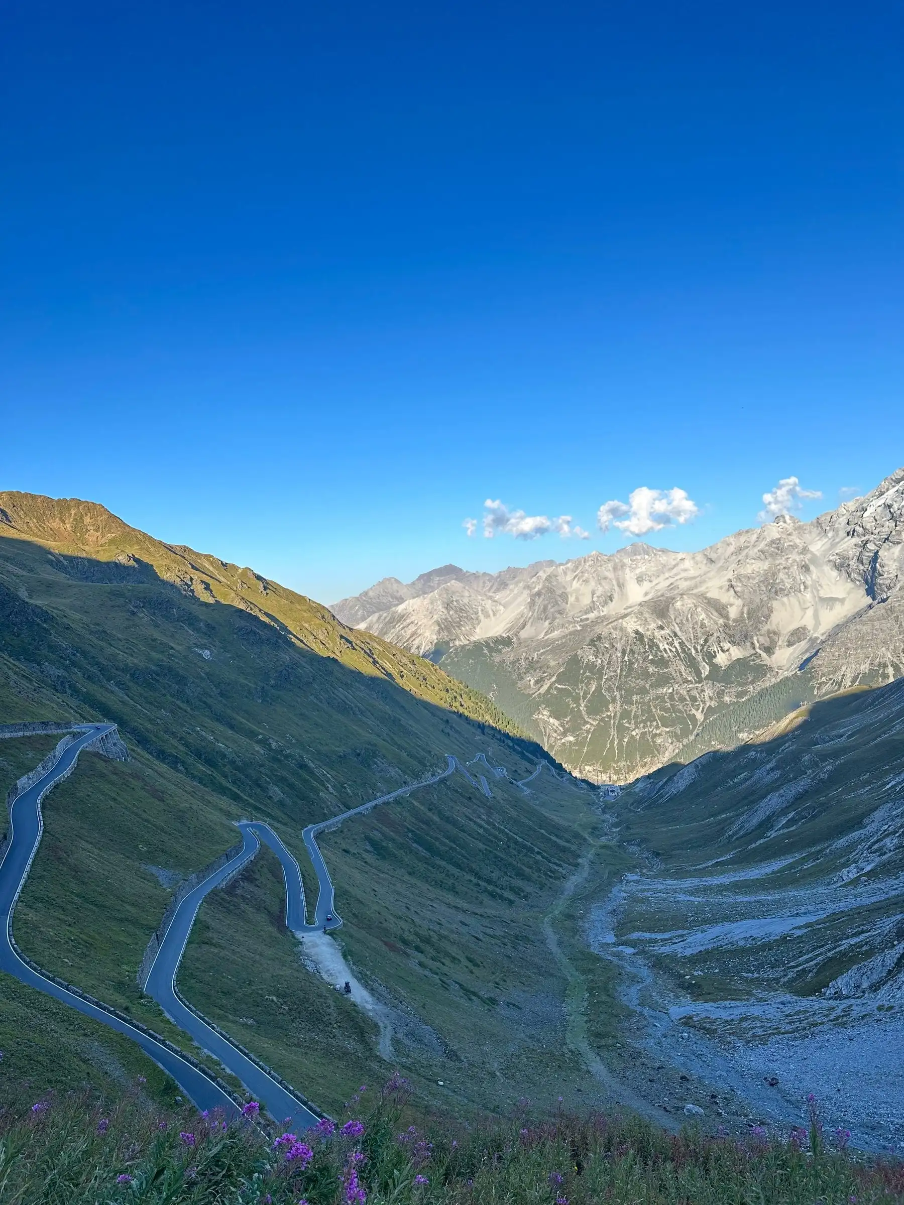 Serpentiny silnice přes průsmyk Stelvio stoupají zeleným údolím pod skalnatými štíty.